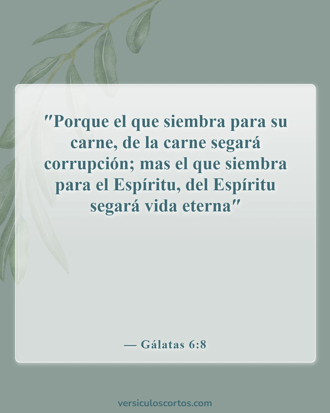 Versículos de la Biblia sobre la vida eterna (Gálatas 6:8)