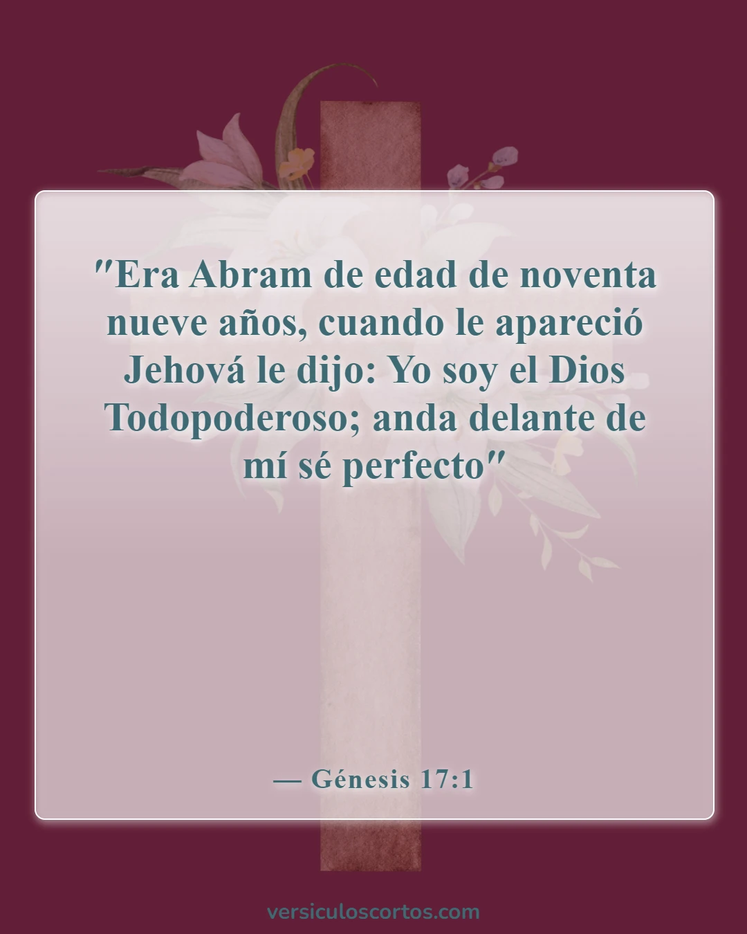 Versículos de la Biblia sobre Abraham (Génesis 17:1)