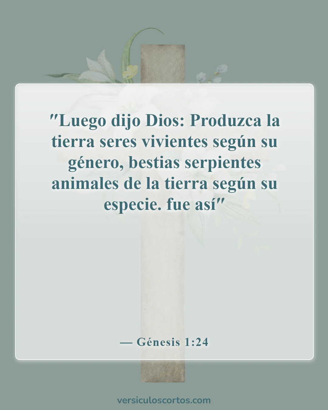 Versículos bíblicos sobre la evolución (Génesis 1:24)