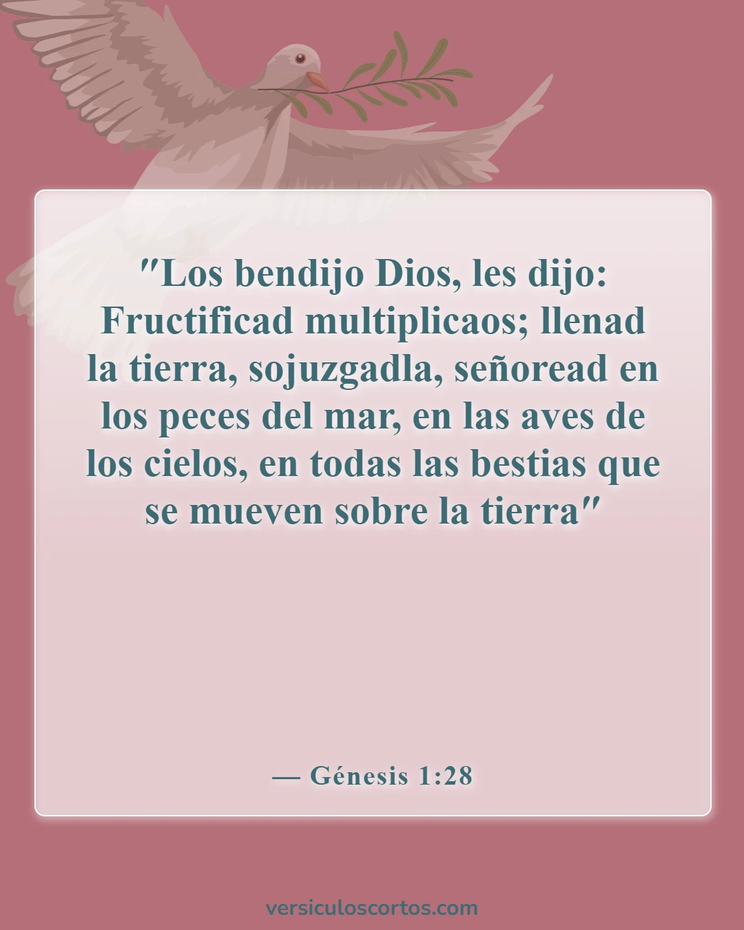Versículos bíblicos sobre la abundancia (Génesis 1:28)