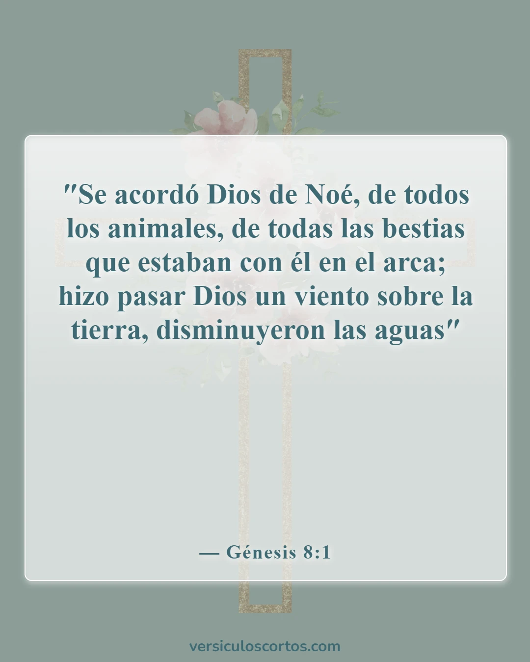 Versículos de la Biblia sobre matar animales (Génesis 8:1)