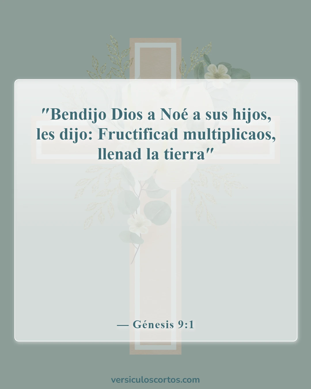 Versículos bíblicos sobre la evolución (Génesis 9:1)