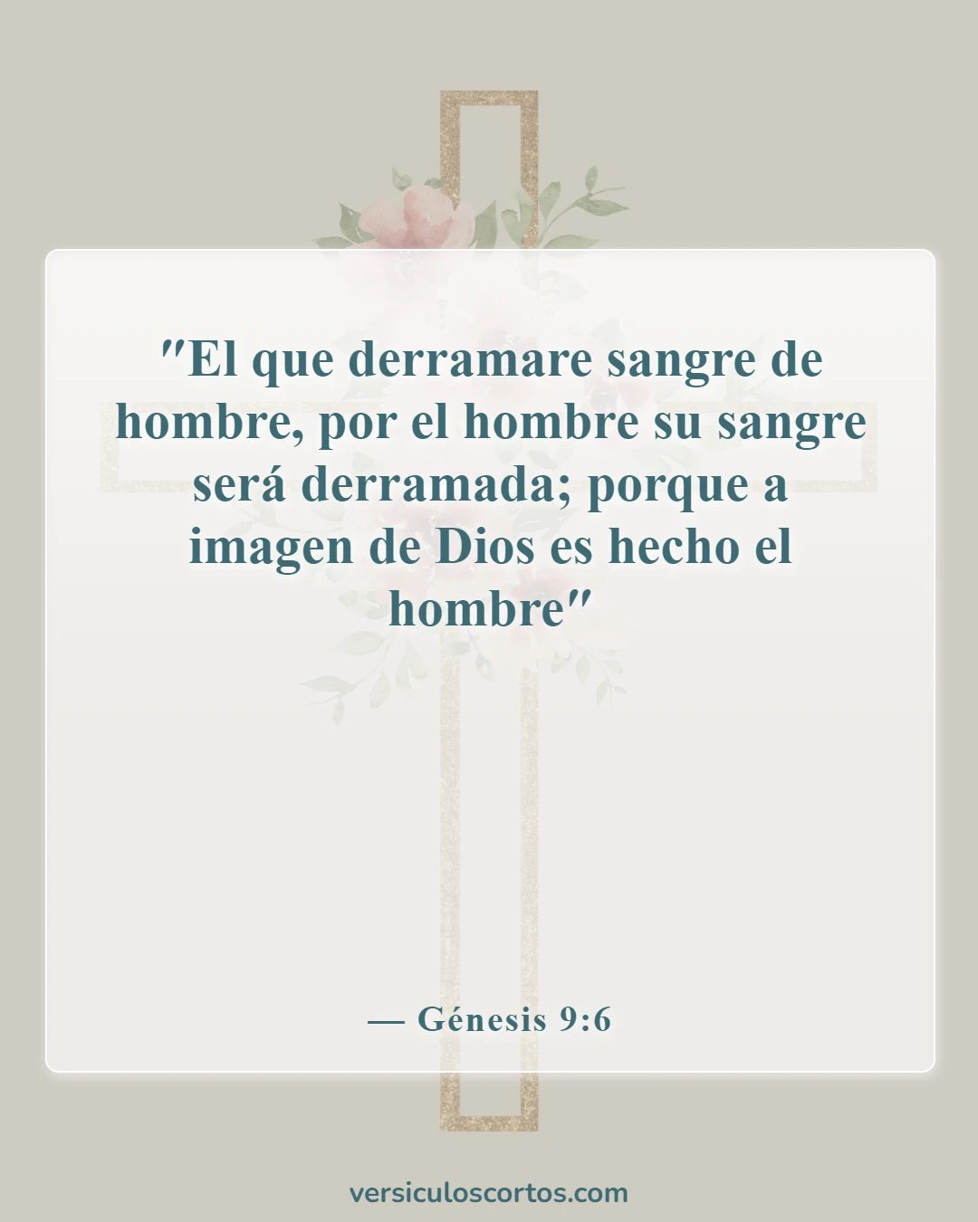 Versículos de la Biblia sobre matar (Génesis 9:6)