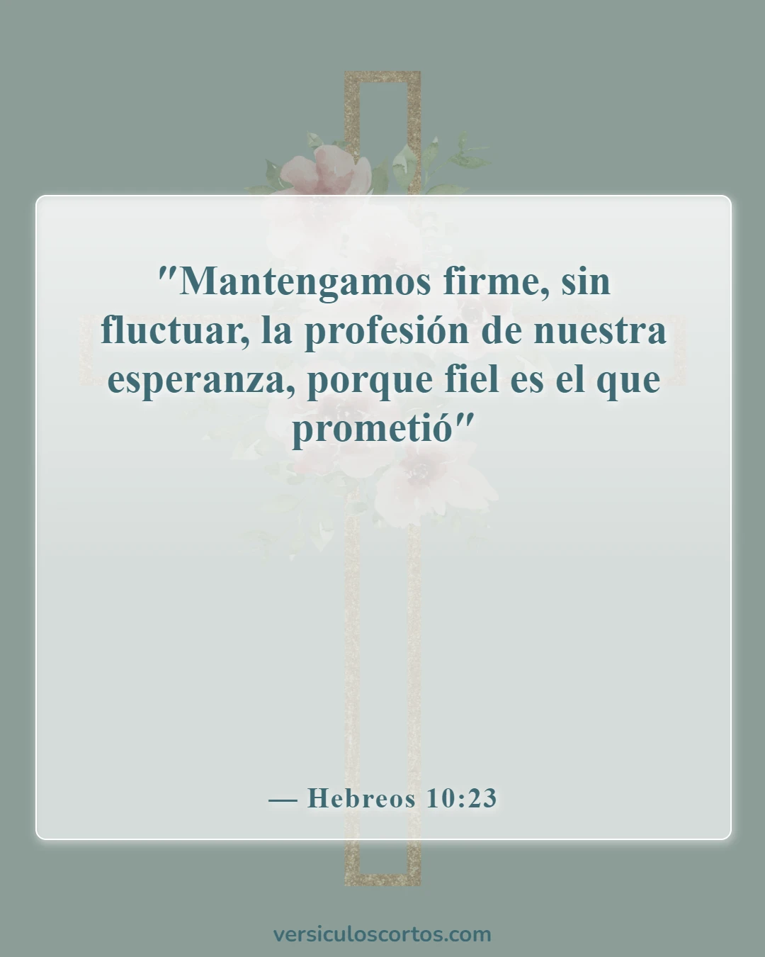 Versículos de la Biblia sobre salir con un no creyente (Hebreos 10:23)
