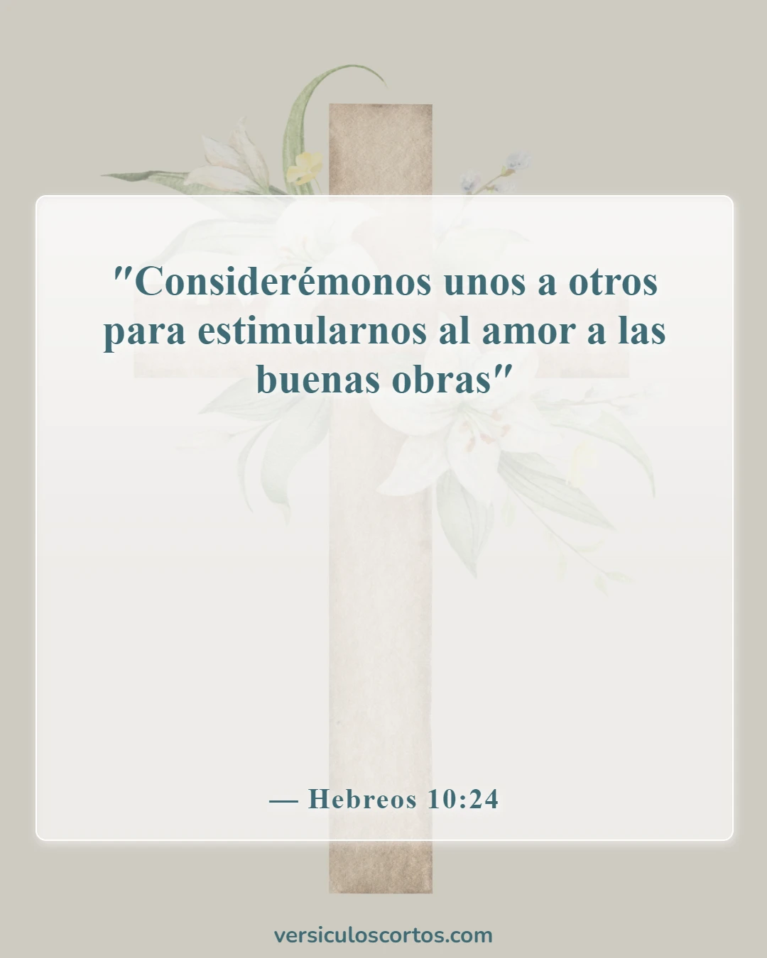 Versículos de la Biblia sobre la compasión hacia los demás (Hebreos 10:24)