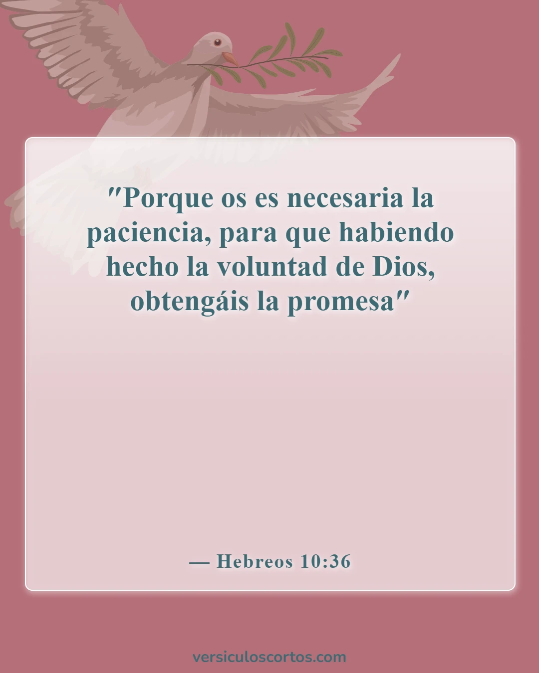 Versículos de la Biblia sobre nunca rendirse (Hebreos 10:36)