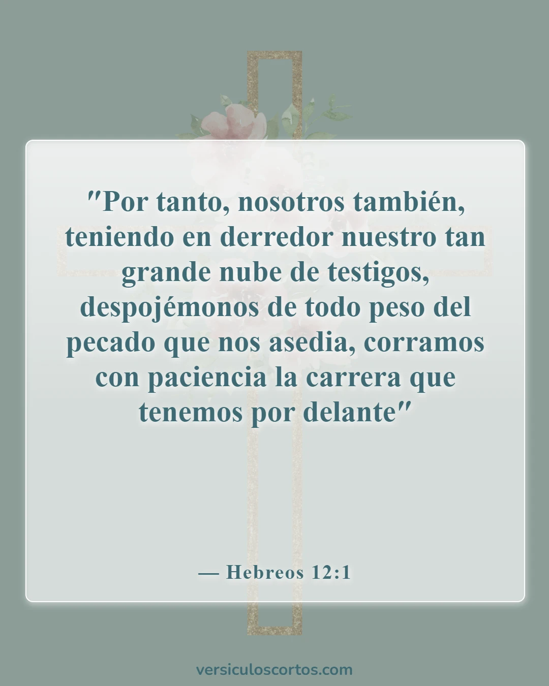 Versículos de la Biblia sobre salir con un no creyente (Hebreos 12:1)