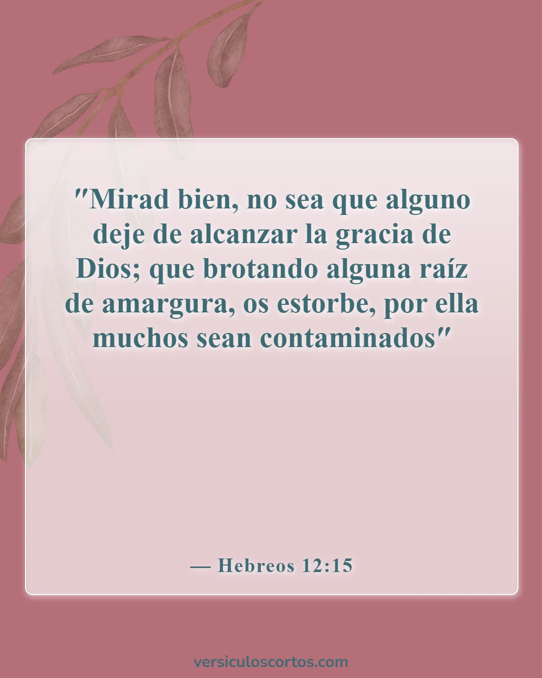 Versículos bíblicos sobre albergar ira (Hebreos 12:15)