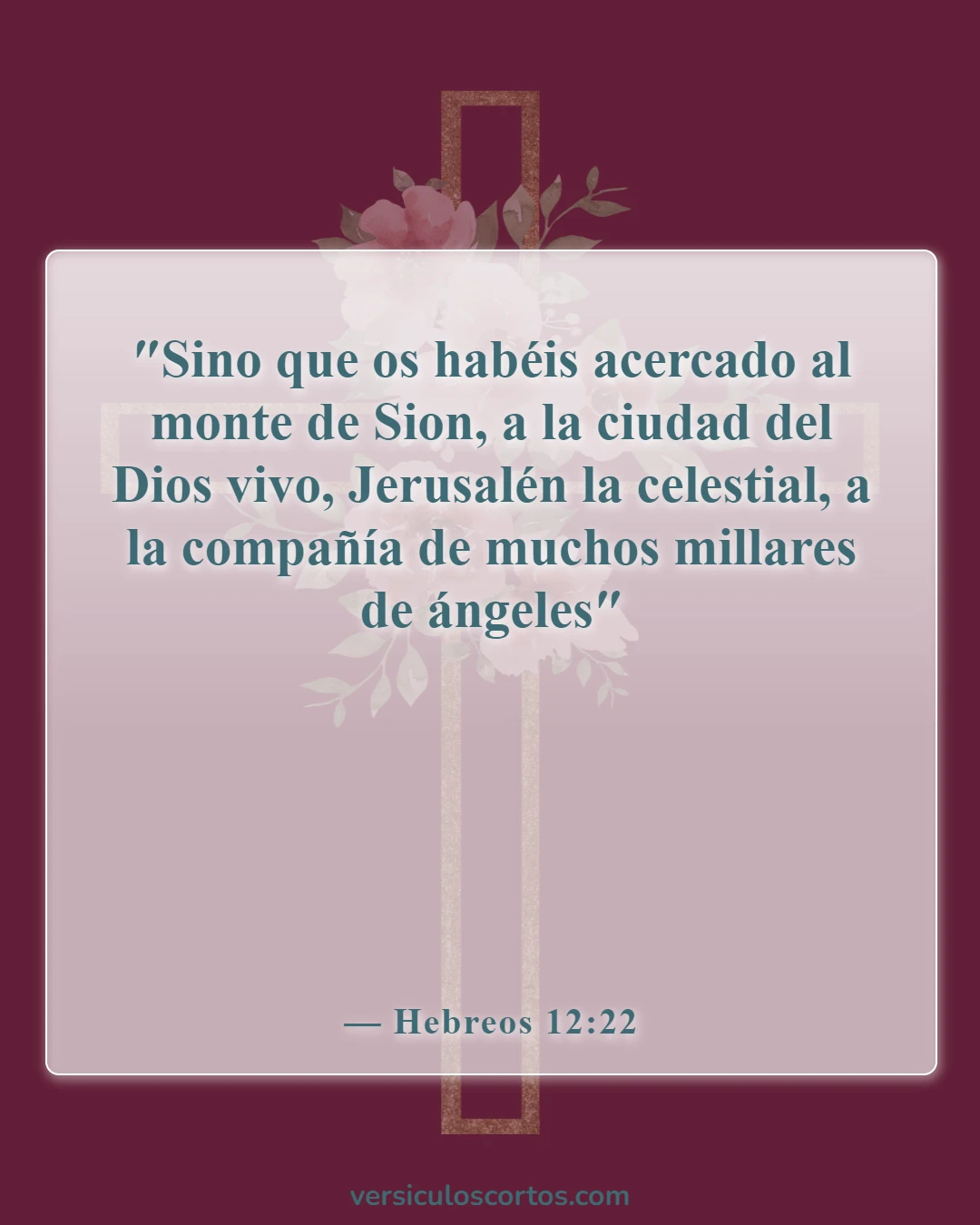 Versículos de la Biblia sobre los ángeles que nos ayudan (Hebreos 12:22)