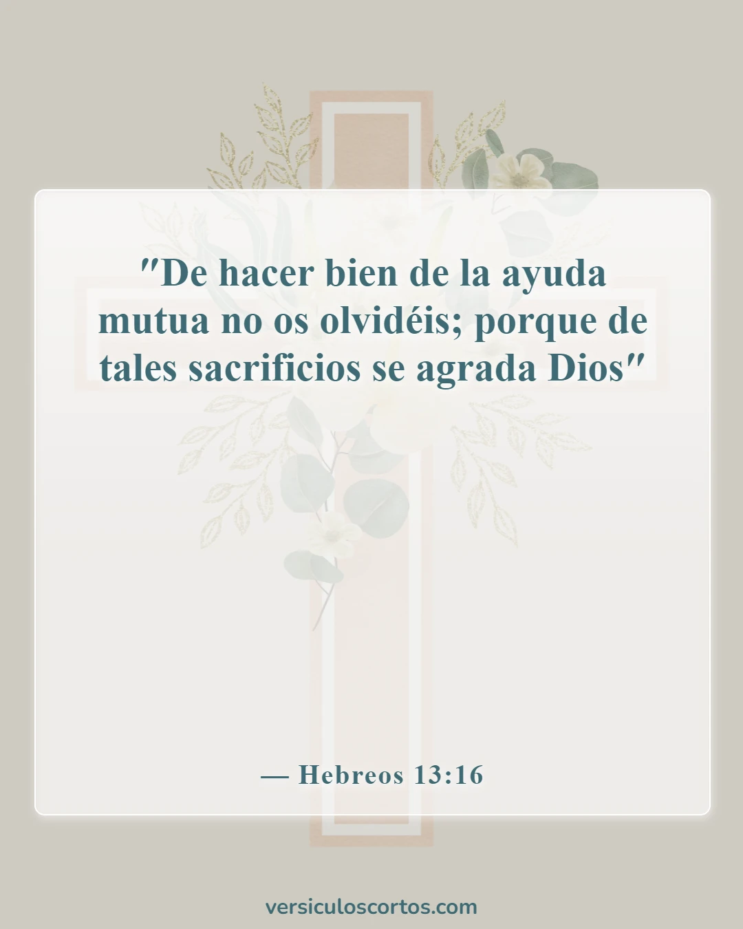 Versículos de la Biblia sobre la compasión hacia los demás (Hebreos 13:16)