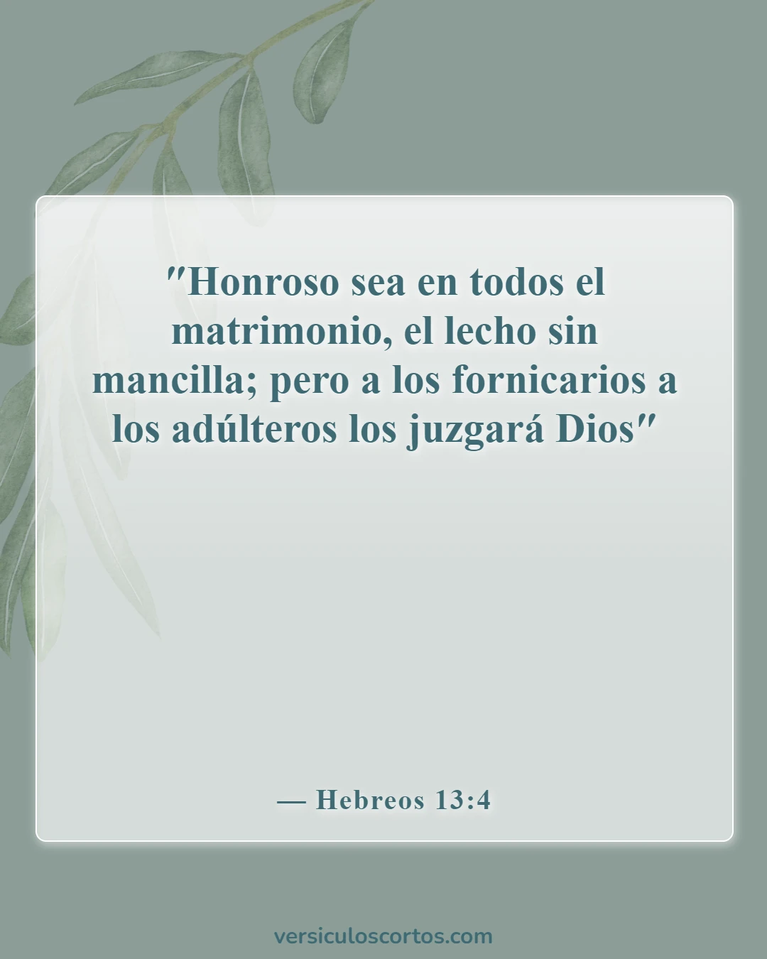 Versículos de la Biblia sobre el divorcio (Hebreos 13:4)