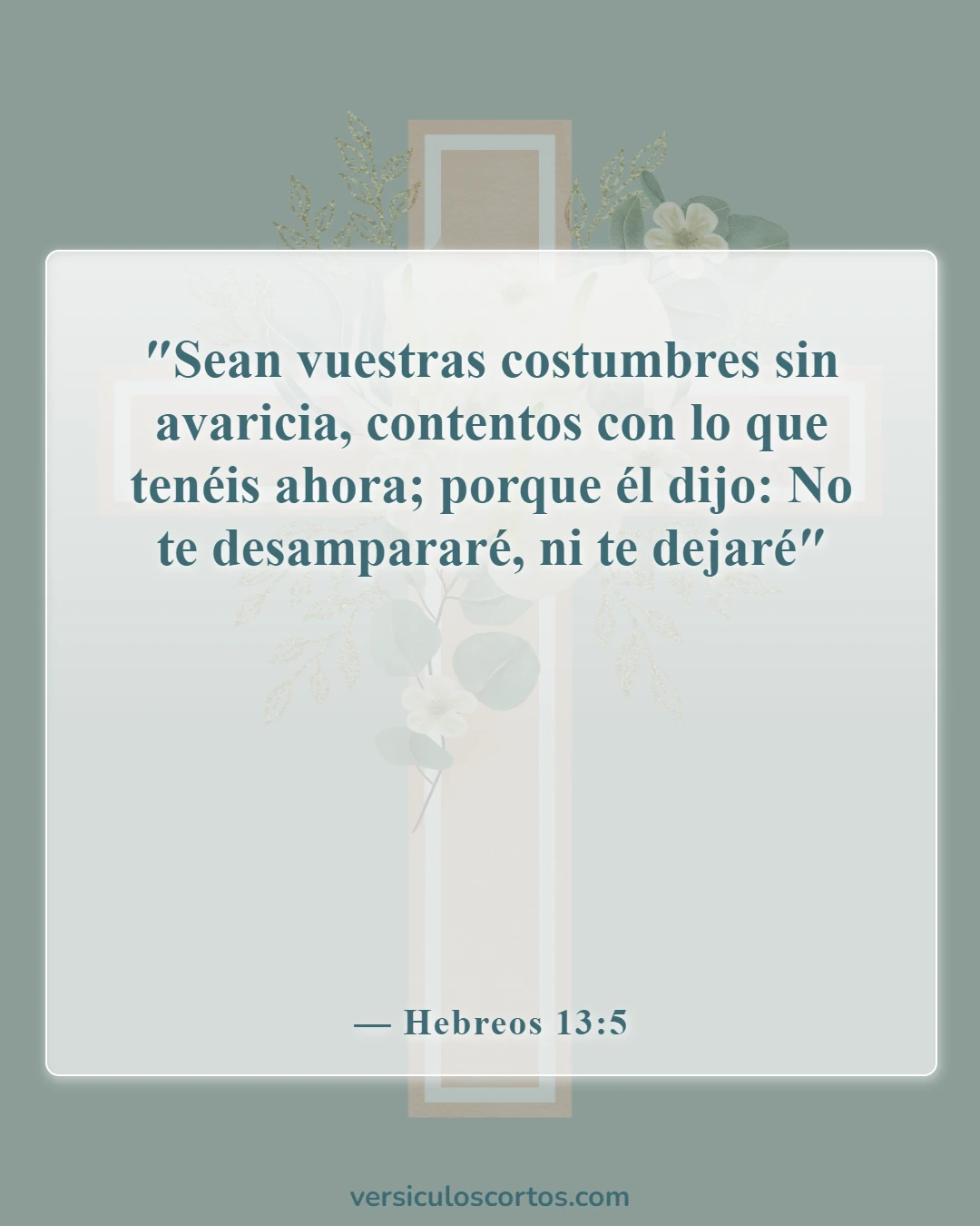 Versículos de la Biblia sobre la Apreciación de la Vida (Hebreos 13:5)