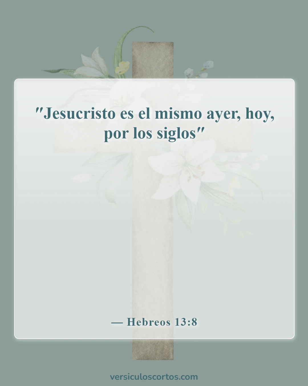 Versículos de la Biblia sobre Jesucristo (Hebreos 13:8)
