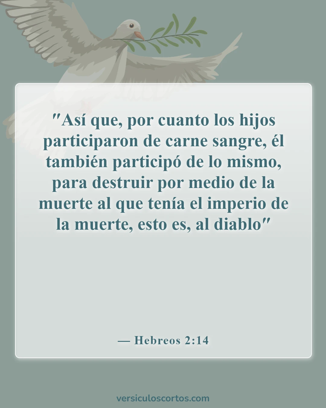 Versículos de la Biblia sobre Jesús como imagen de Dios (Hebreos 2:14)