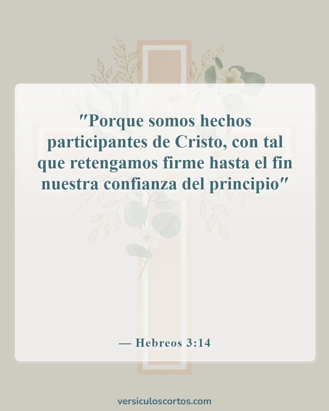 Versículos de la Biblia sobre convertirse en cristiano (Hebreos 3:14)