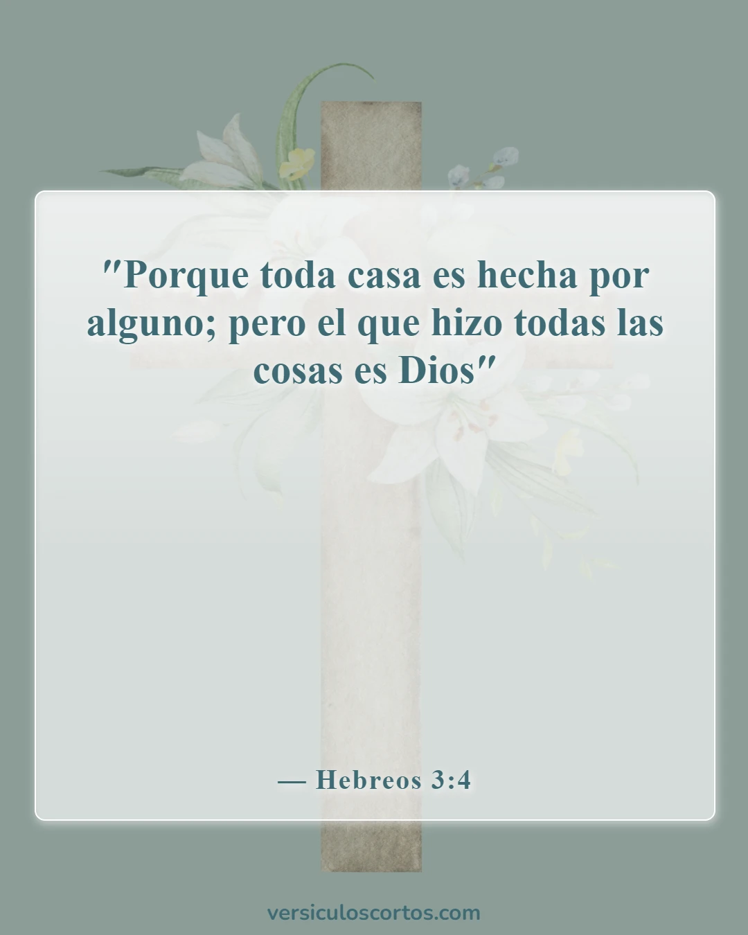 Versículos bíblicos sobre la evolución (Hebreos 3:4)