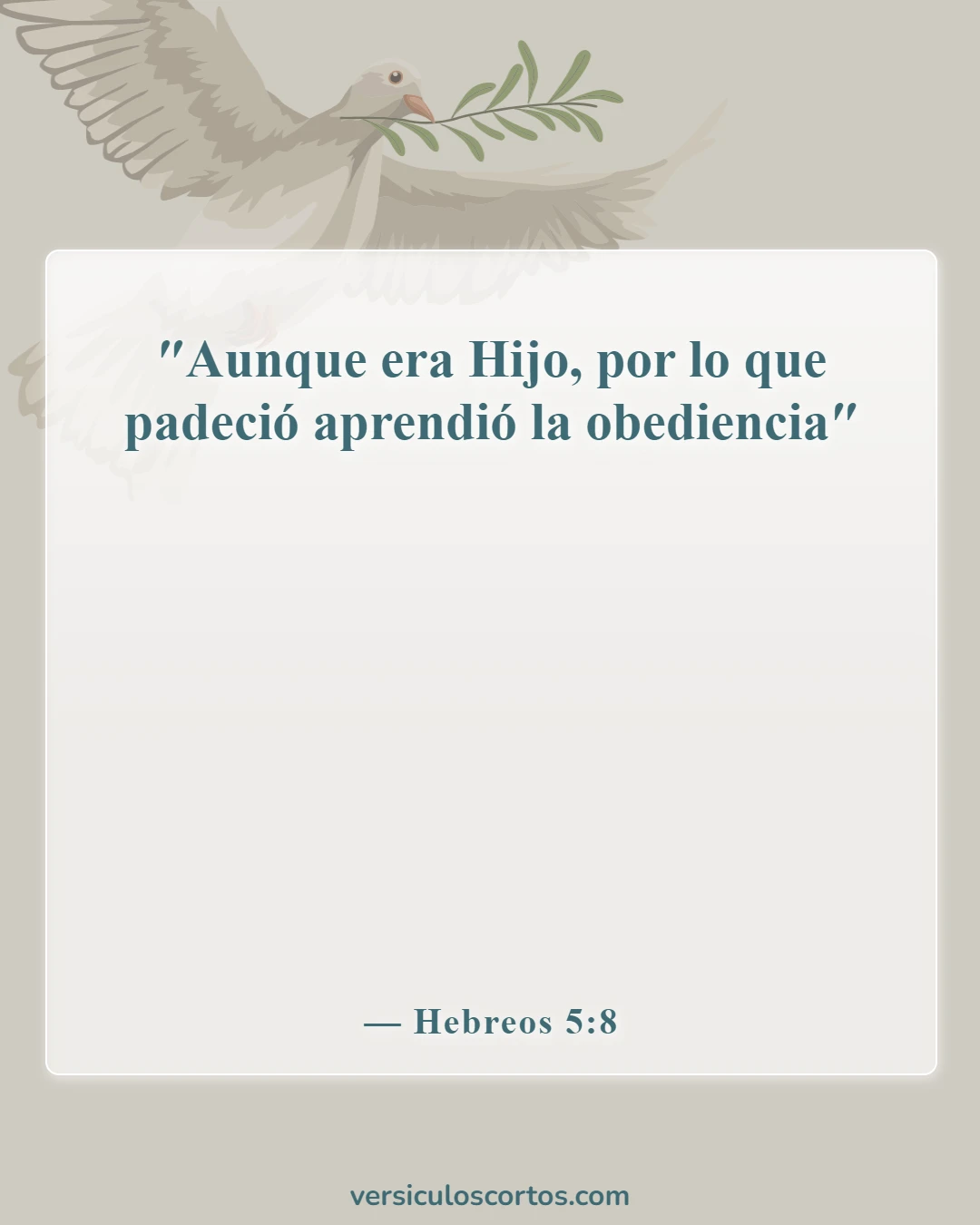 Versículos de la Biblia sobre el Hijo de Dios (Hebreos 5:8)