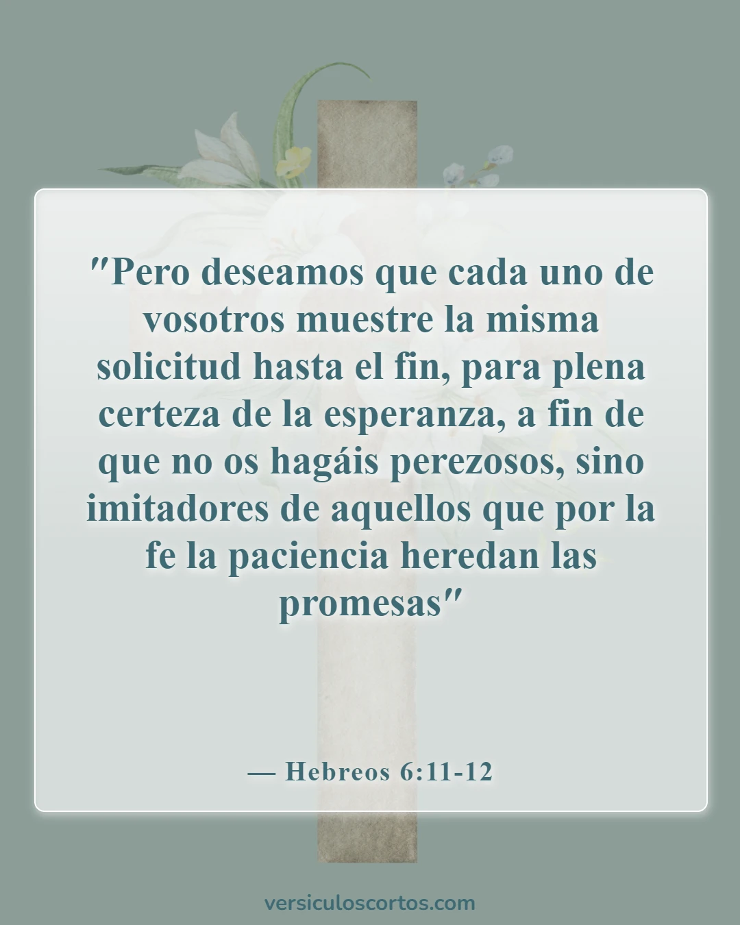 Versículos de la Biblia sobre nunca rendirse (Hebreos 6:11-12)