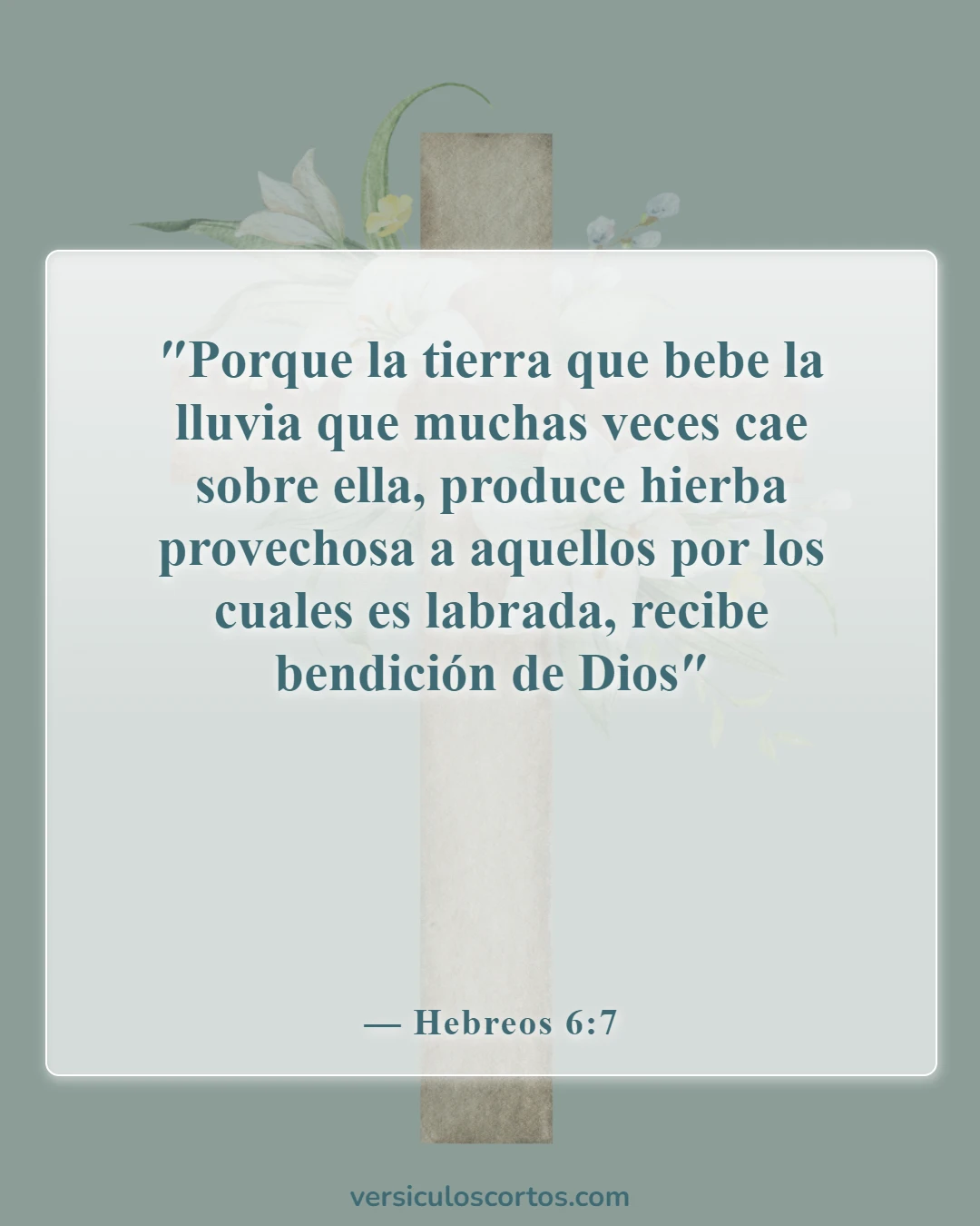 Versículos de la Biblia sobre bendiciones y maldiciones (Hebreos 6:7)
