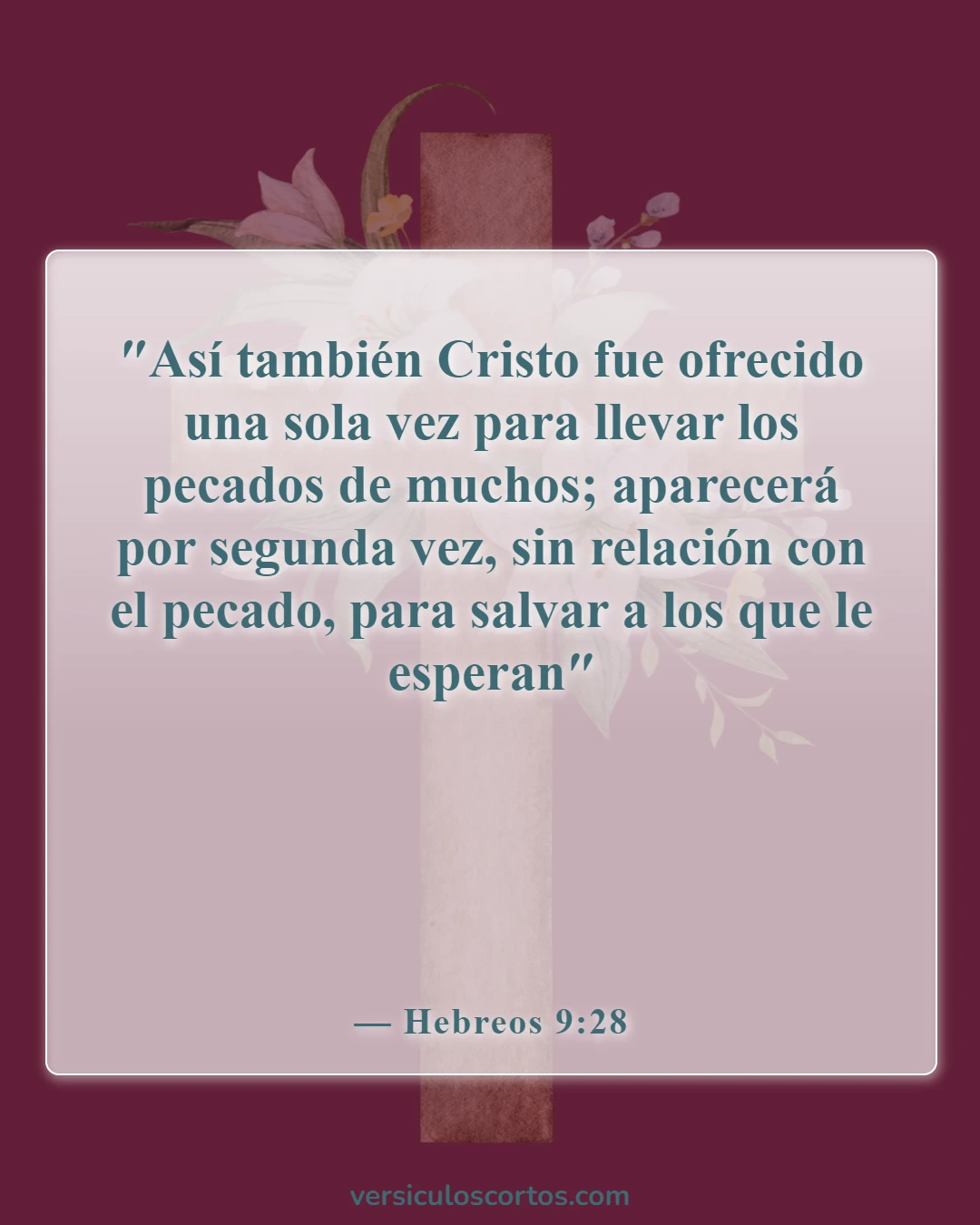 Versículos bíblicos sobre la salvación (Hebreos 9:28)