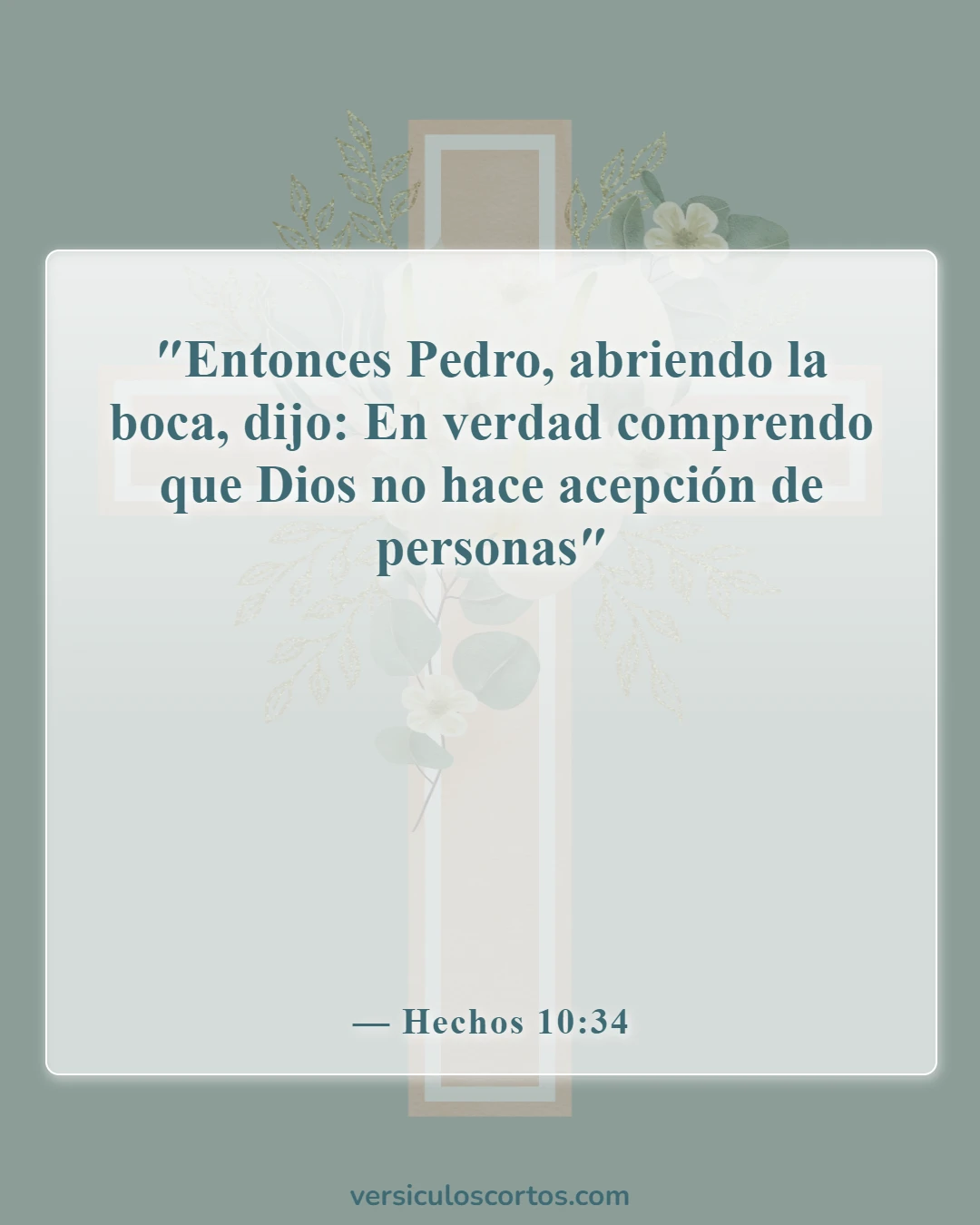 Versículos de la Biblia sobre juzgar por las apariencias (Hechos 10:34)