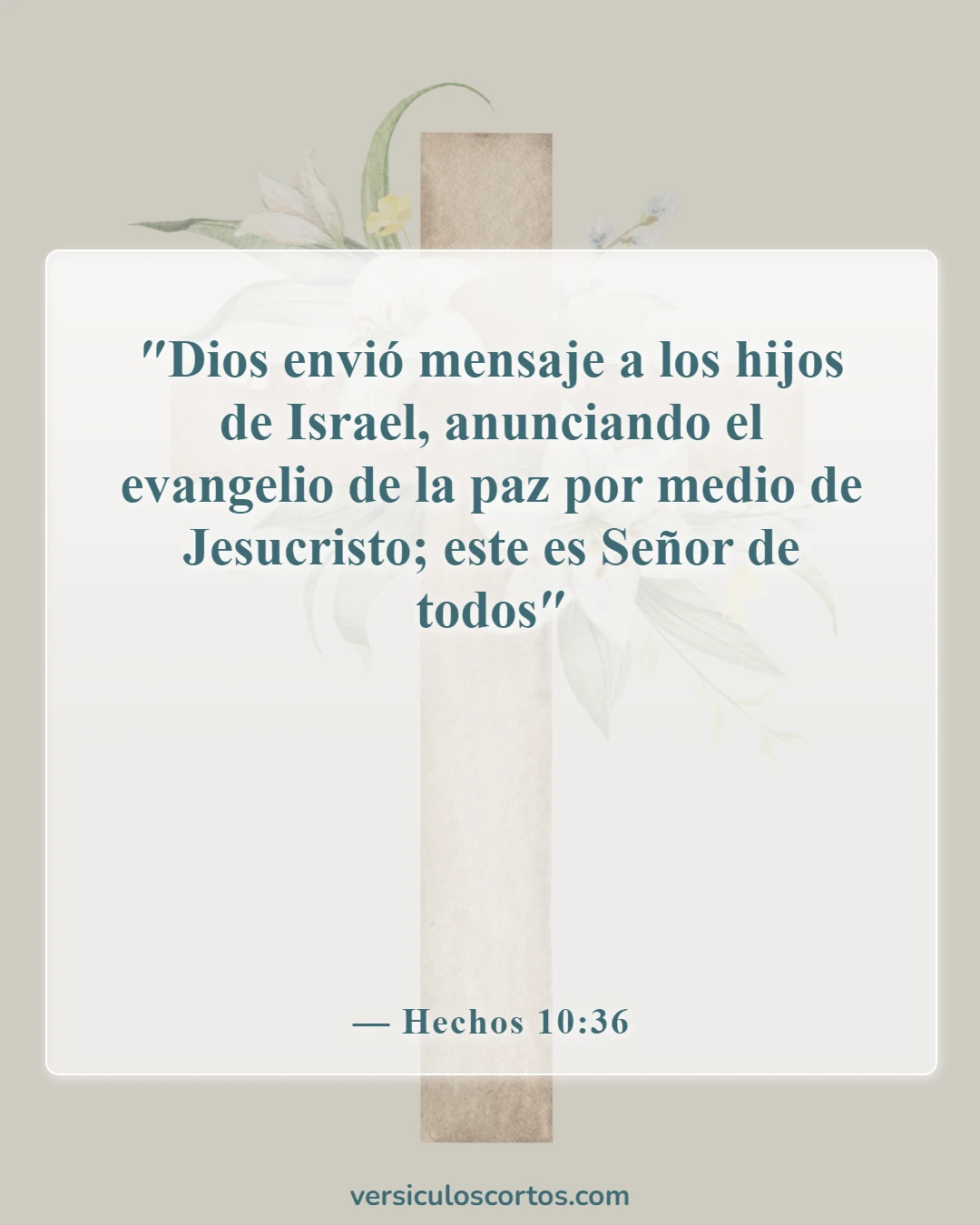 Versículos de la Biblia sobre la paz con Dios (Hechos 10:36)