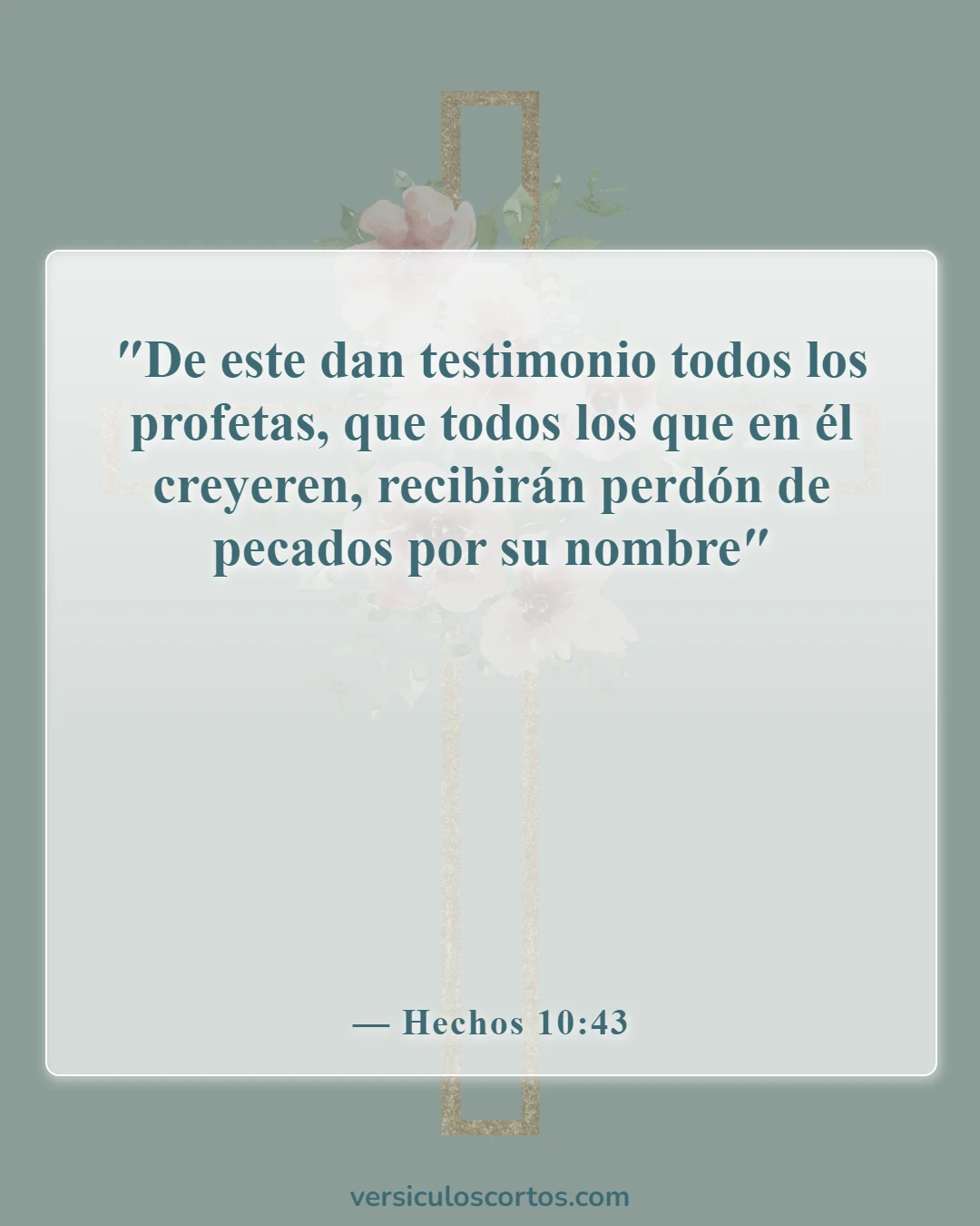 Versículos de la Biblia sobre el perdón de los pecados (Hechos 10:43)