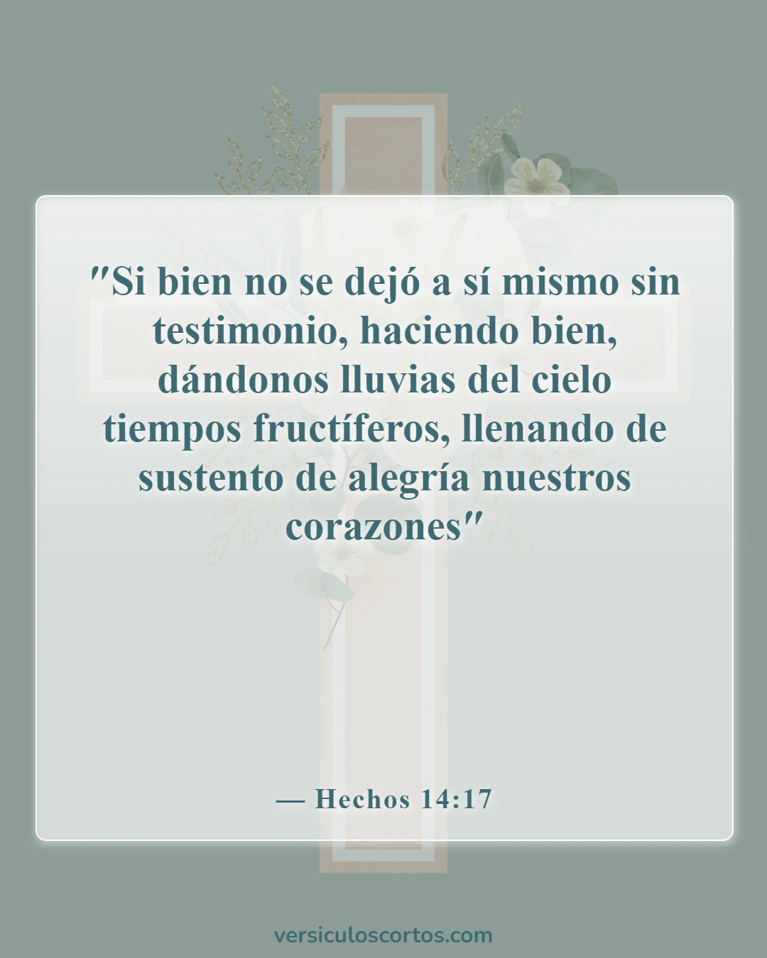 Versículos bíblicos sobre la vida abundante (Hechos 14:17)