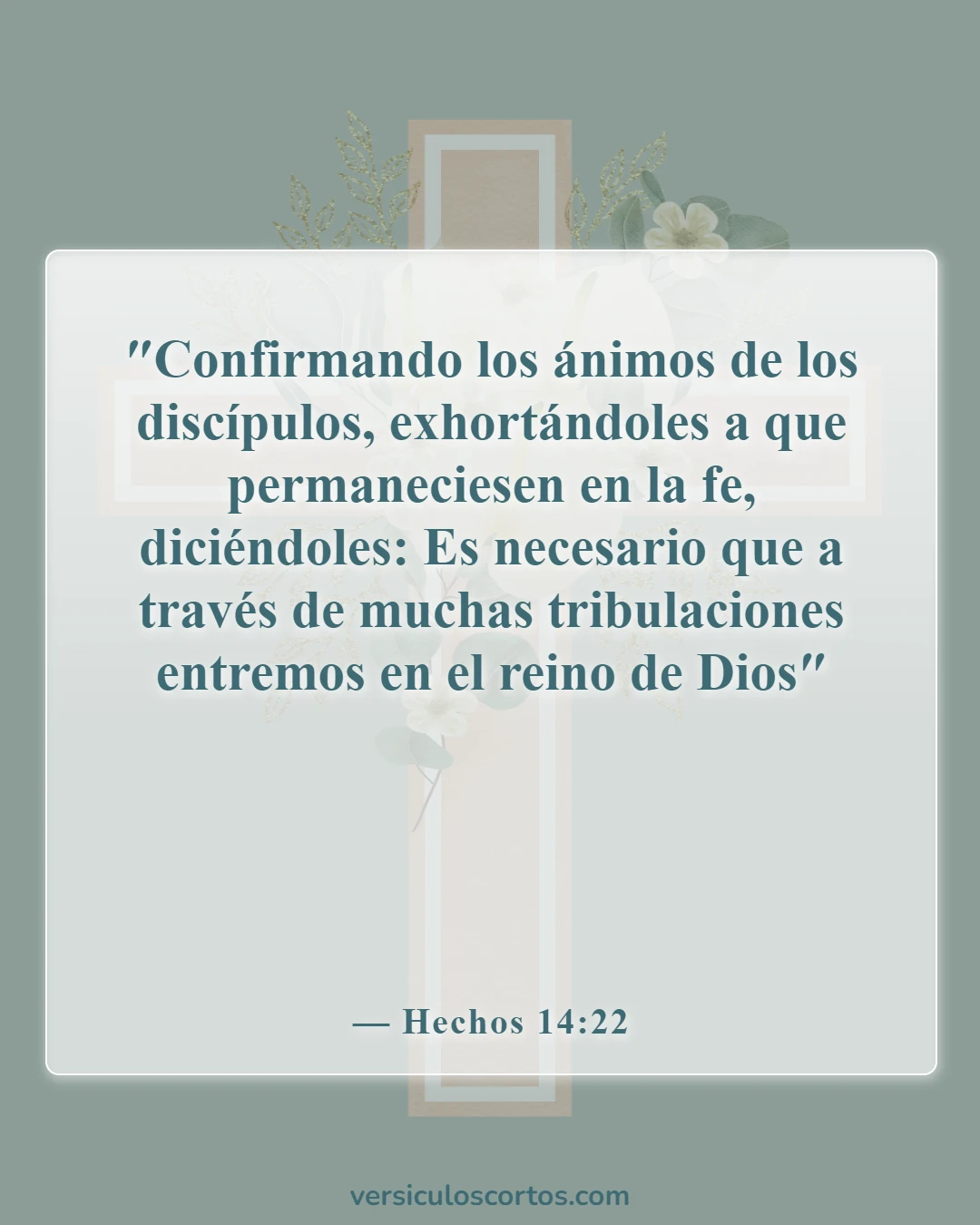 Versículos de la Biblia sobre la aflicción (Hechos 14:22)