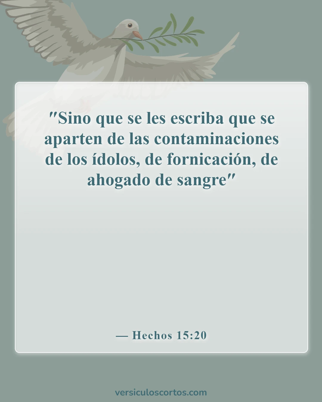 Versículos de la Biblia sobre los idólatras (Hechos 15:20)
