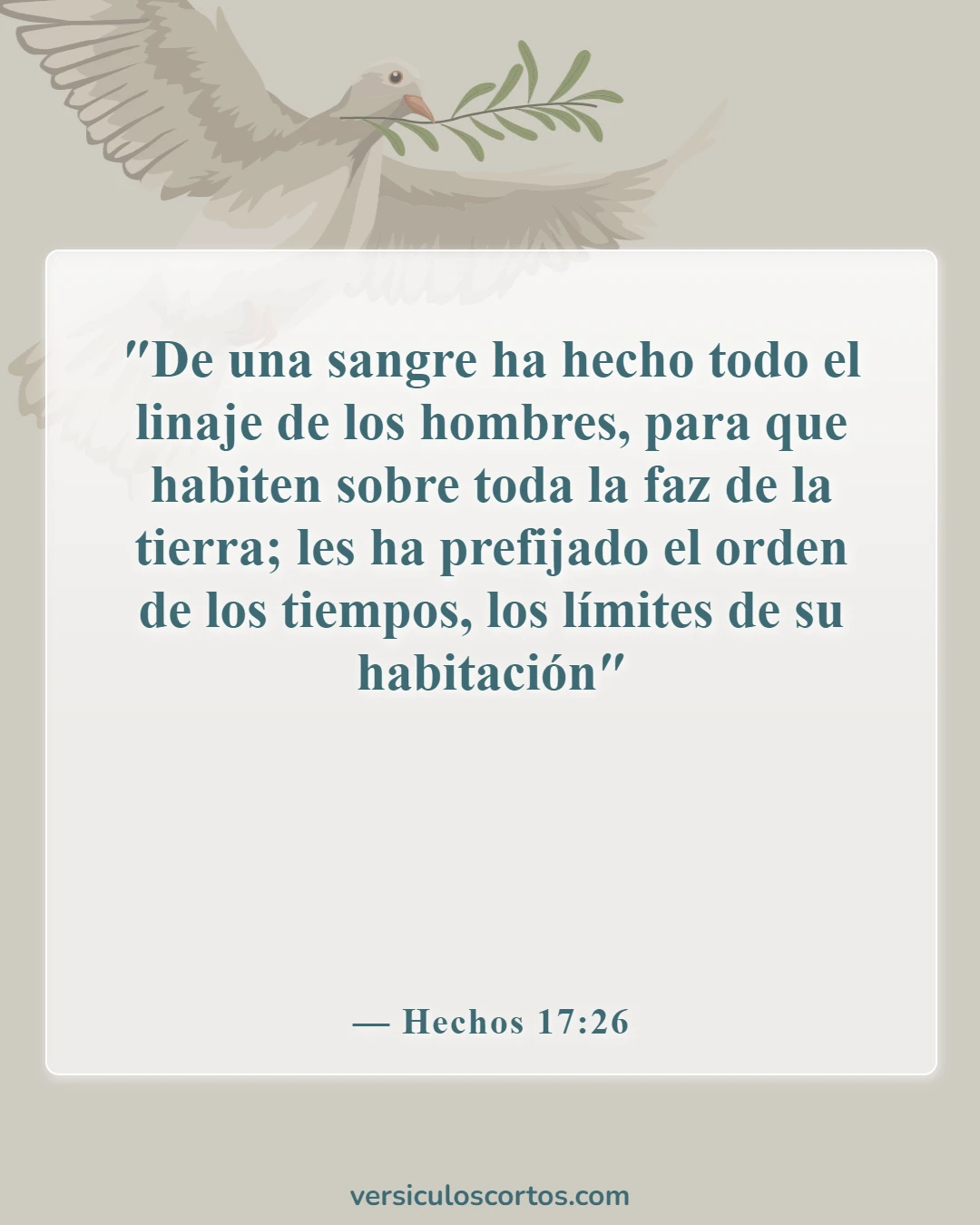 Versículos de la Biblia sobre que Dios tiene el control (Hechos 17:26)
