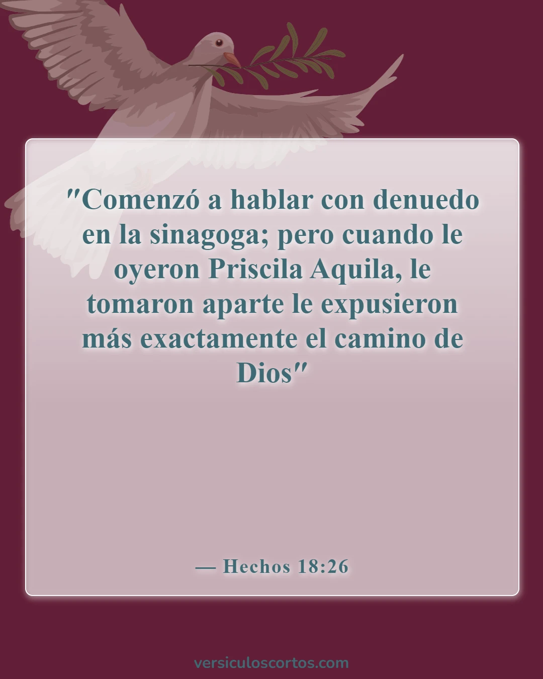 Versículos de la Biblia sobre las mujeres cristianas (Hechos 18:26)