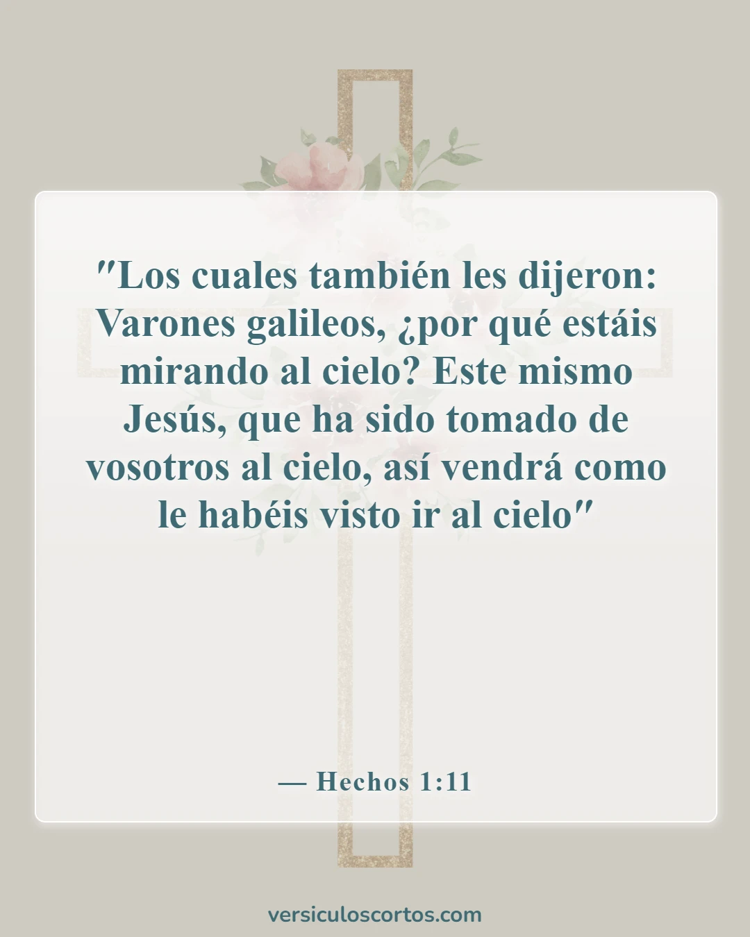 Versículos de la Biblia sobre Jesucristo (Hechos 1:11)