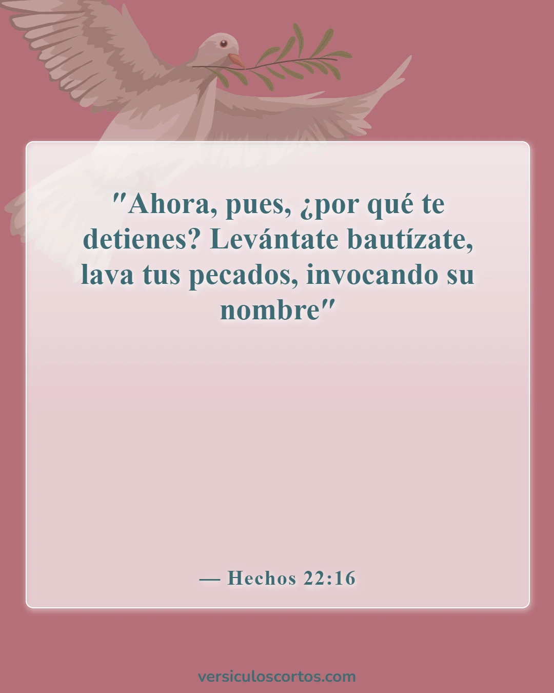 Versículos de la Biblia sobre el Nombre de Jesús (Hechos 22:16)
