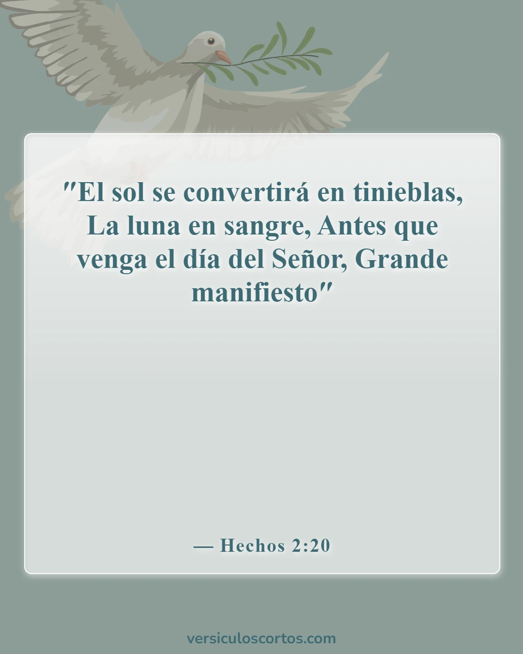 Versículos bíblicos sobre el fin del mundo (Hechos 2:20)