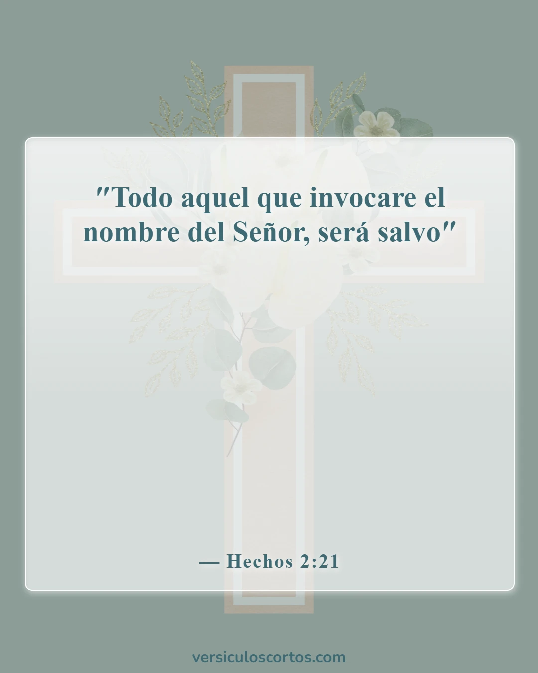Versículos bíblicos sobre la salvación (Hechos 2:21)