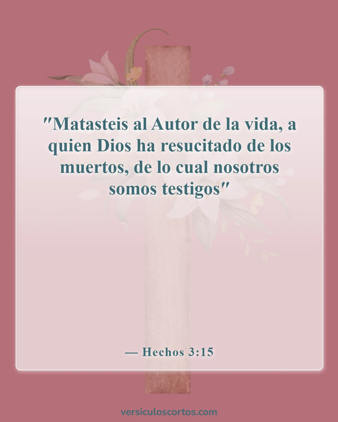 Versículos de la Biblia sobre la Resurrección de Cristo (Hechos 3:15)