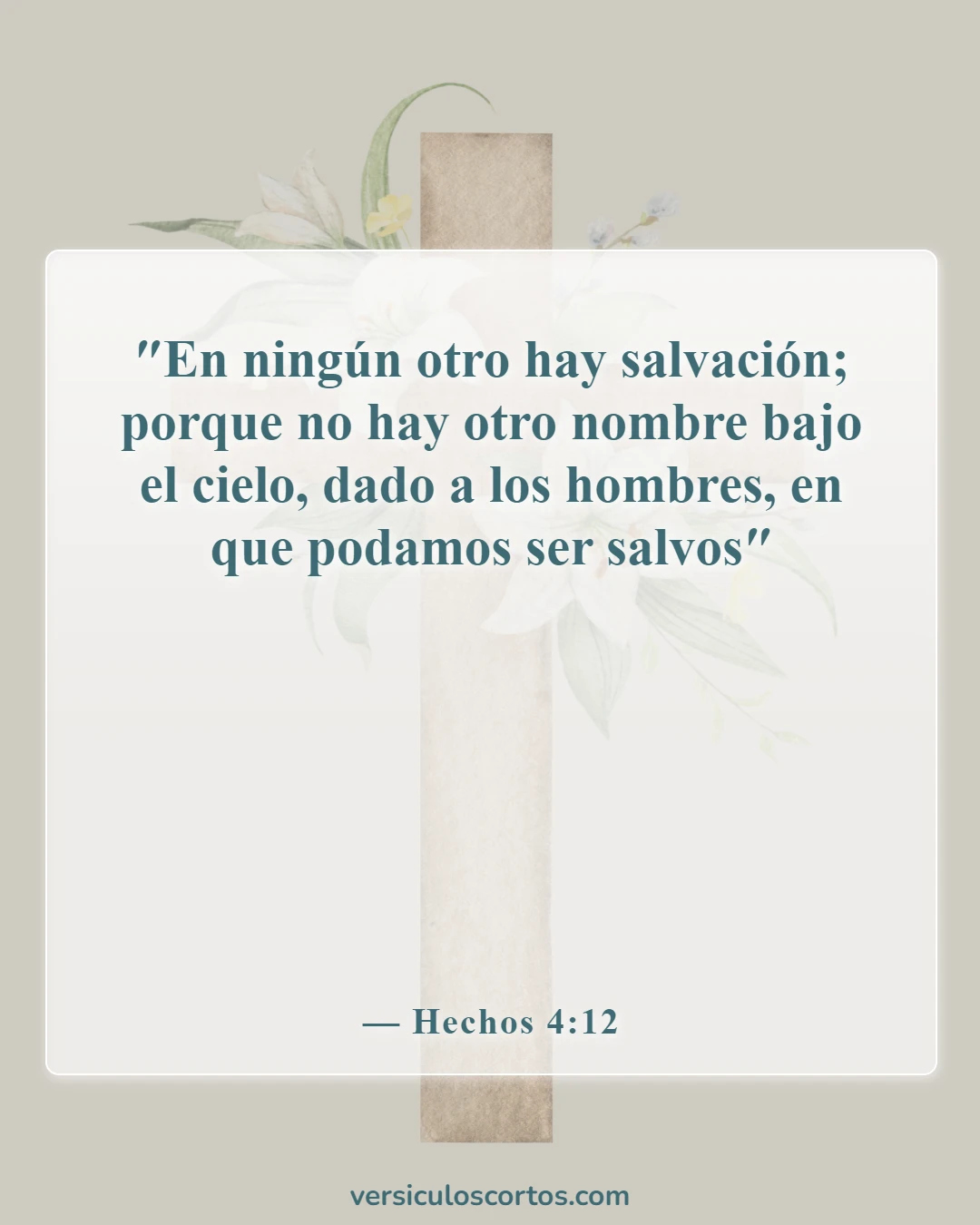 Versículos bíblicos sobre la salvación (Hechos 4:12)