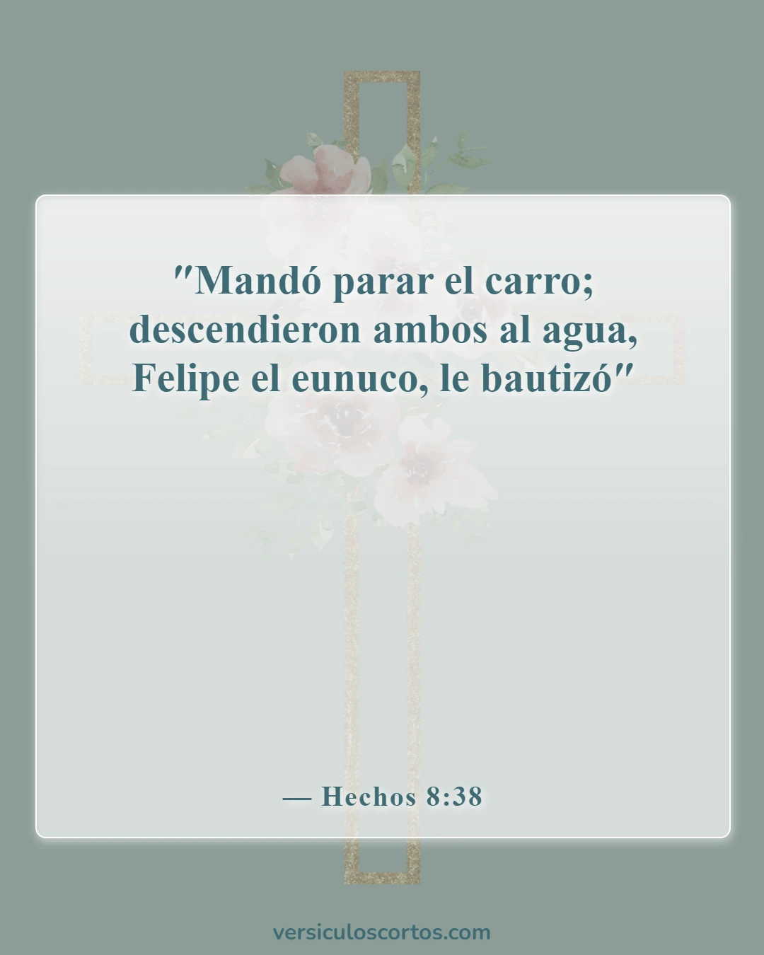 Versículos de la Biblia sobre el bautismo de bebés (Hechos 8:38)