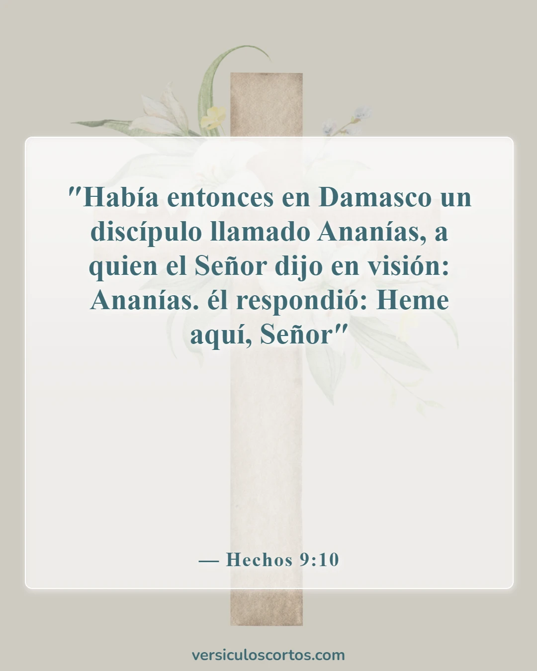 Versículos de la Biblia sobre sueños y visiones (Hechos 9:10)