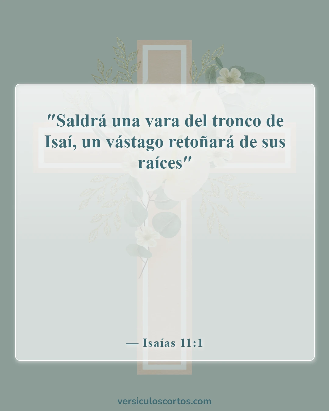 Versículos de la Biblia sobre la celebración de la Navidad (Isaías 11:1)