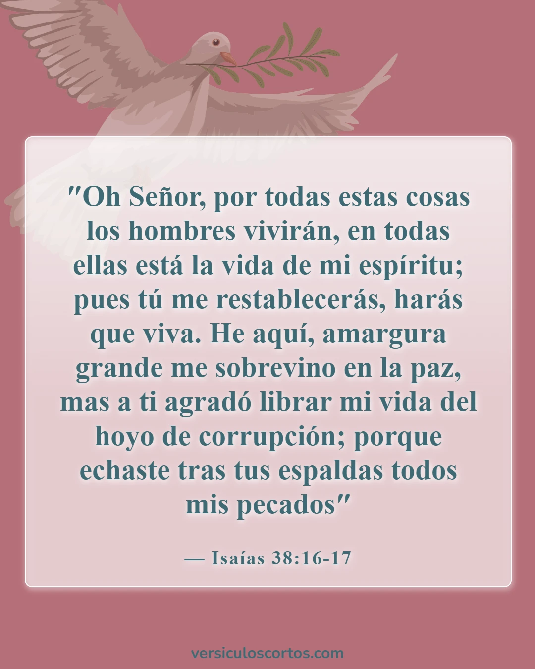 Versículos de la Biblia sobre la sanación divina (Isaías 38:16-17)