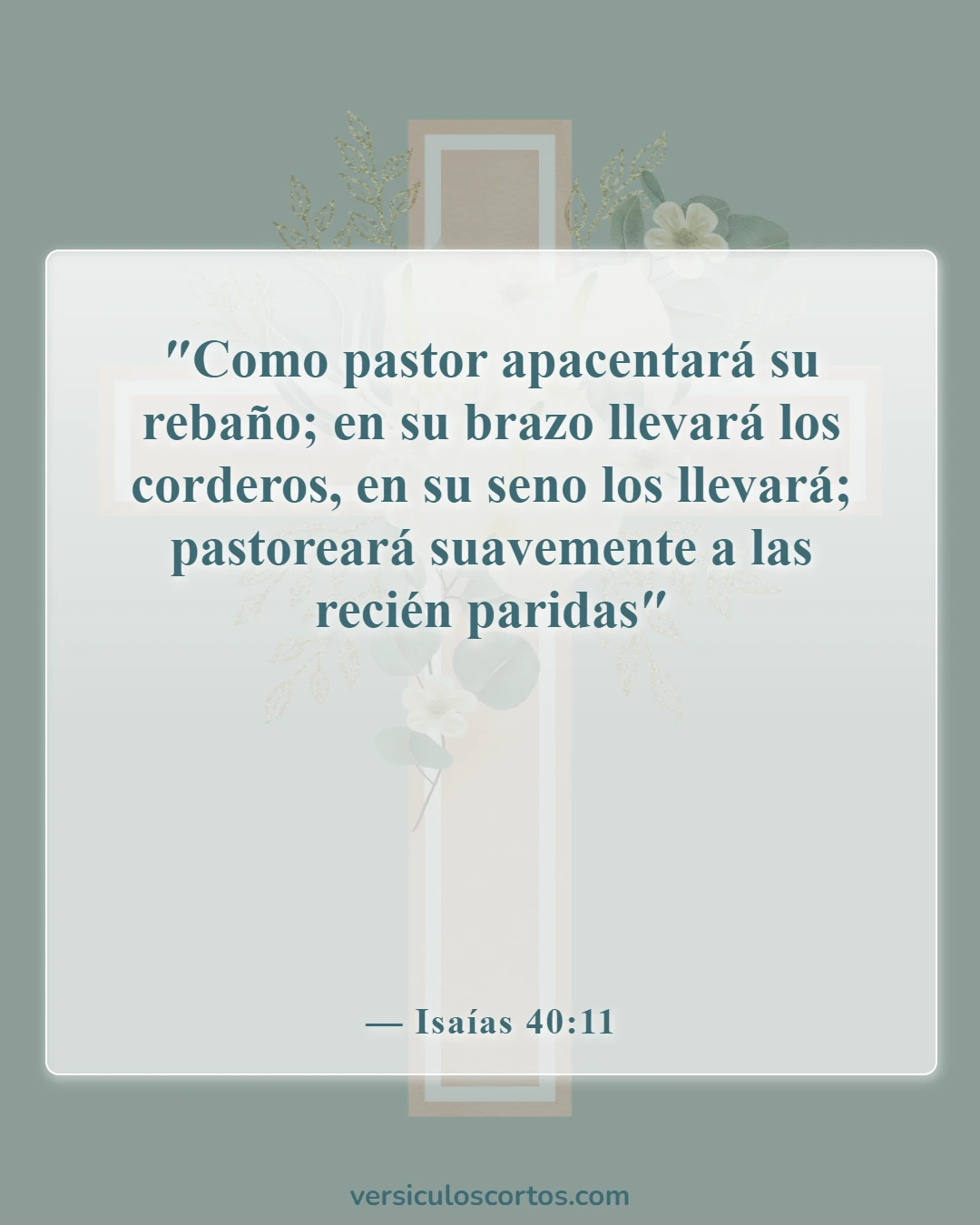 Versículos de la Biblia sobre la compasión hacia los demás (Isaías 40:11)