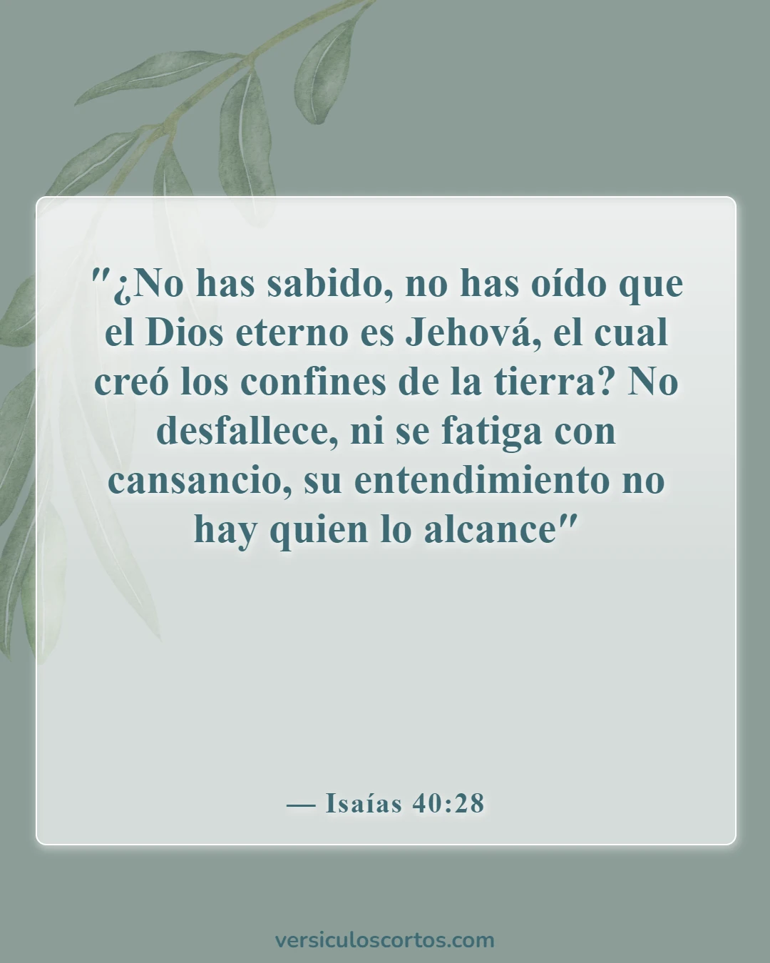 Versículos bíblicos sobre la evolución (Isaías 40:28)