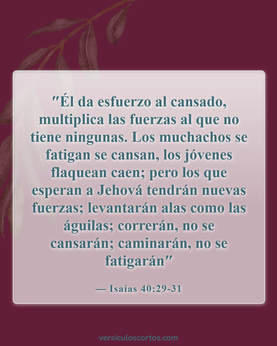 Versículos de la Biblia sobre el cuidado de los padres ancianos (Isaías 40:29-31)