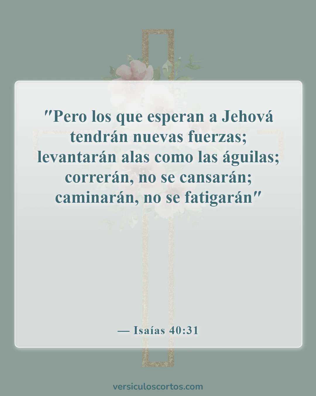 Versículos de la Biblia sobre la Apreciación de la Vida (Isaías 40:31)