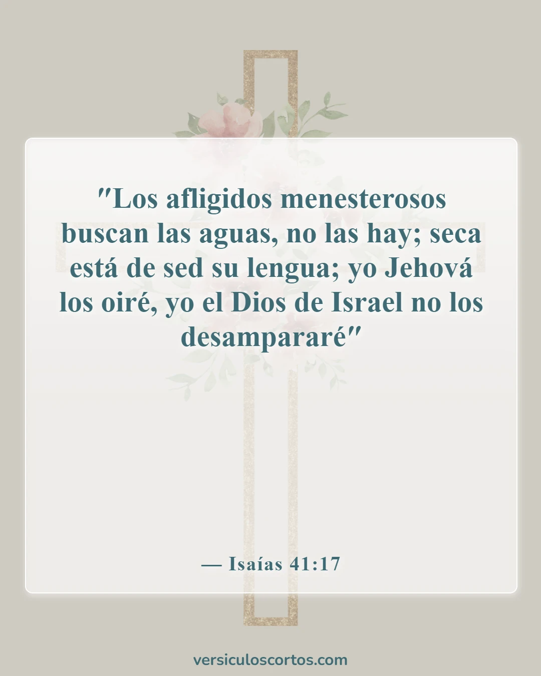 Versículos de la Biblia sobre buscar a Dios (Isaías 41:17)