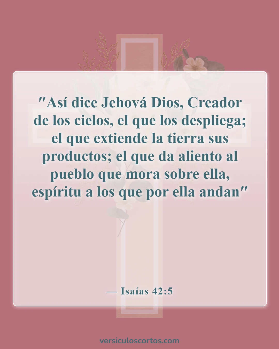 Versículos bíblicos sobre la evolución (Isaías 42:5)