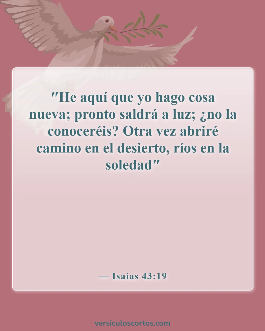 Versículos de la Biblia para parejas en tiempos difíciles (Isaías 43:19)