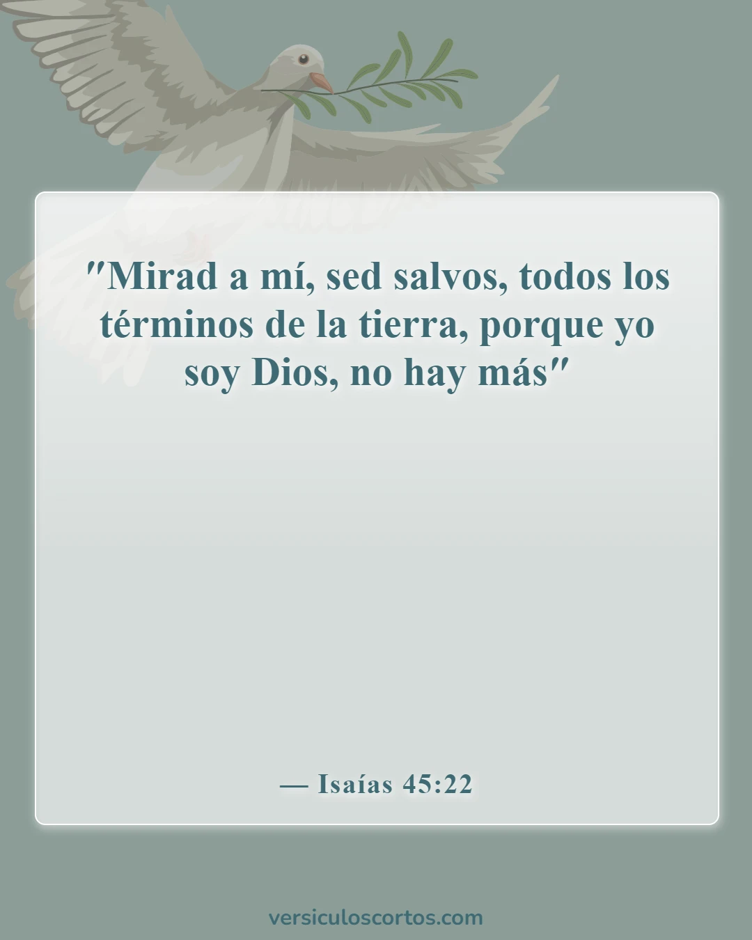 Versículos bíblicos sobre la salvación (Isaías 45:22)